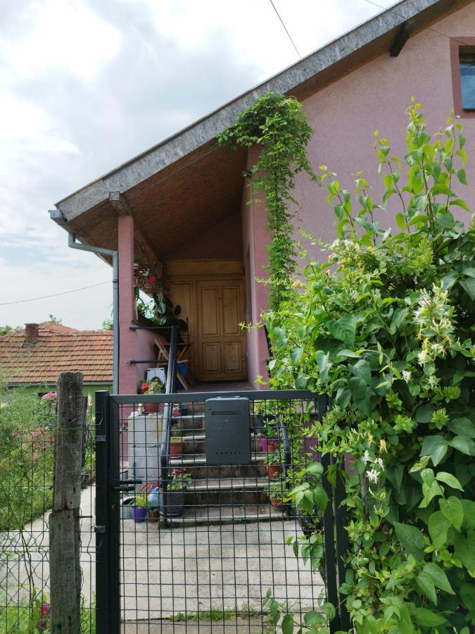 Ferienwohnung Stancic 019 Zaječar Exterior foto