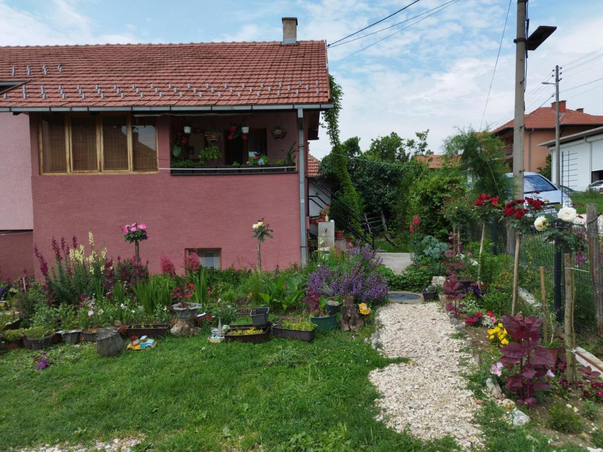 Ferienwohnung Stancic 019 Zaječar Exterior foto