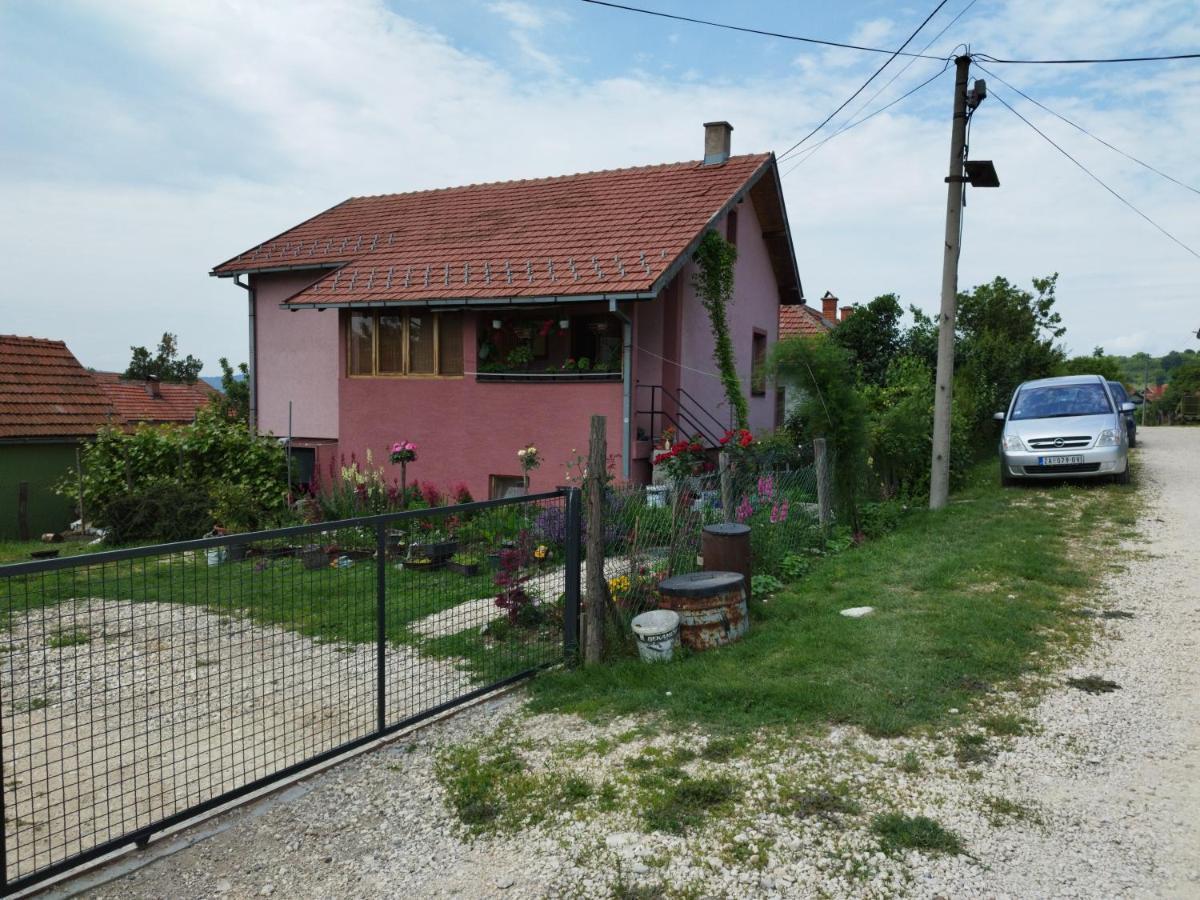Ferienwohnung Stancic 019 Zaječar Exterior foto