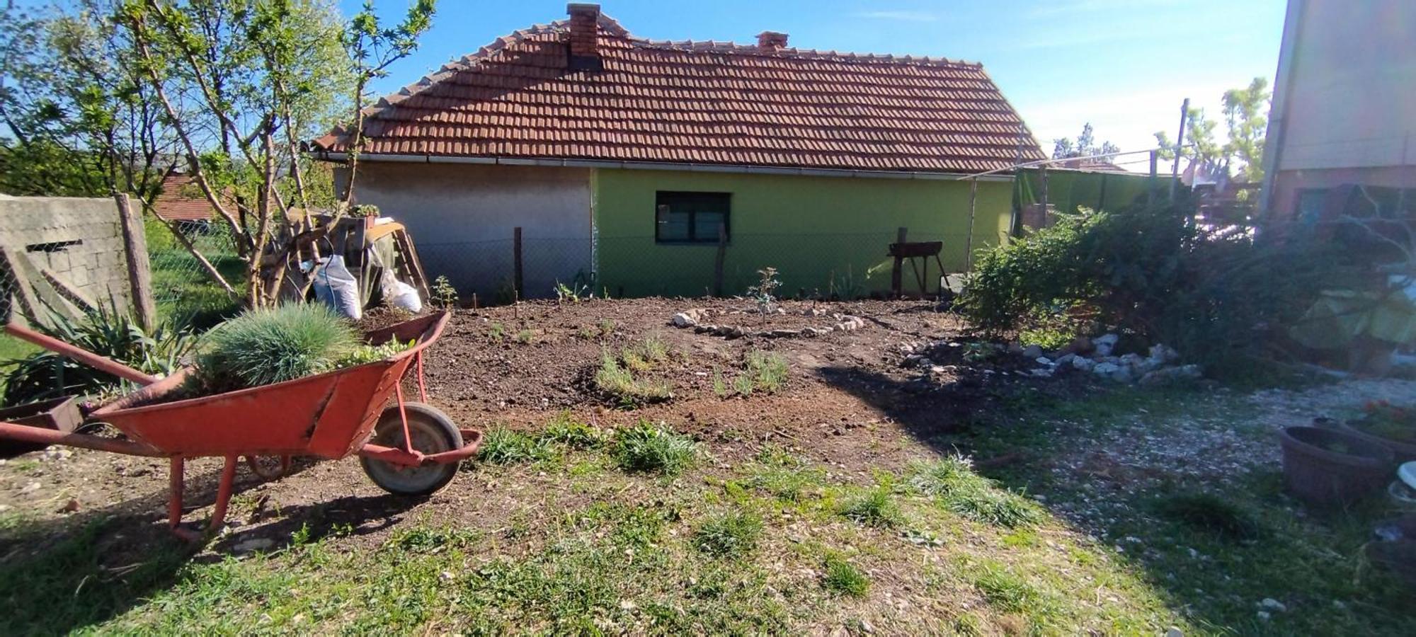 Ferienwohnung Stancic 019 Zaječar Exterior foto
