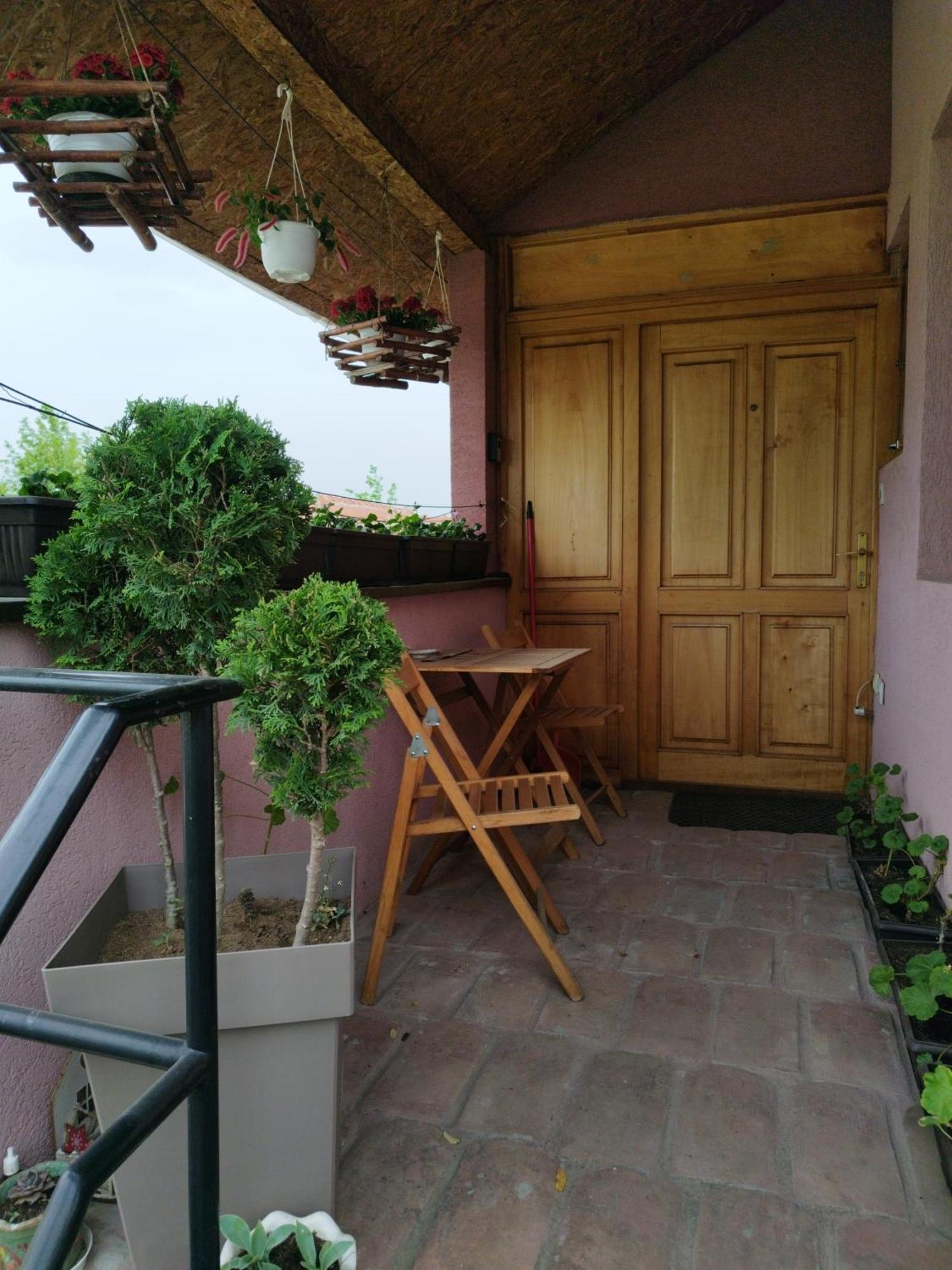 Ferienwohnung Stancic 019 Zaječar Exterior foto
