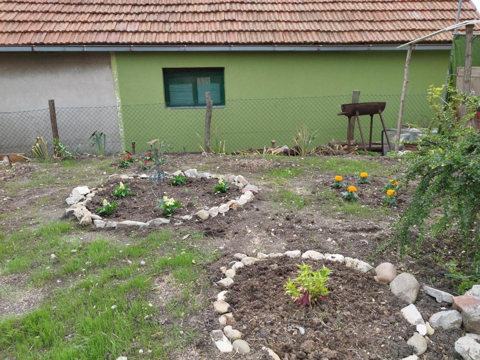 Ferienwohnung Stancic 019 Zaječar Exterior foto